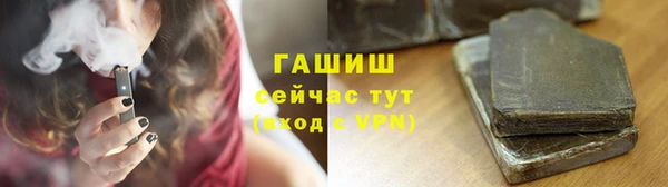 индика Саяногорск