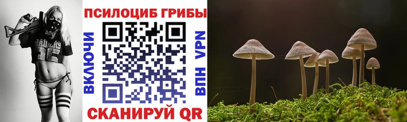Галлюциногенные грибы мицелий  Полысаево 