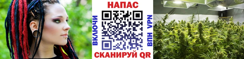 МАРИХУАНА ГИДРОПОН  Полысаево 